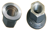 Auto Wheel Nuts